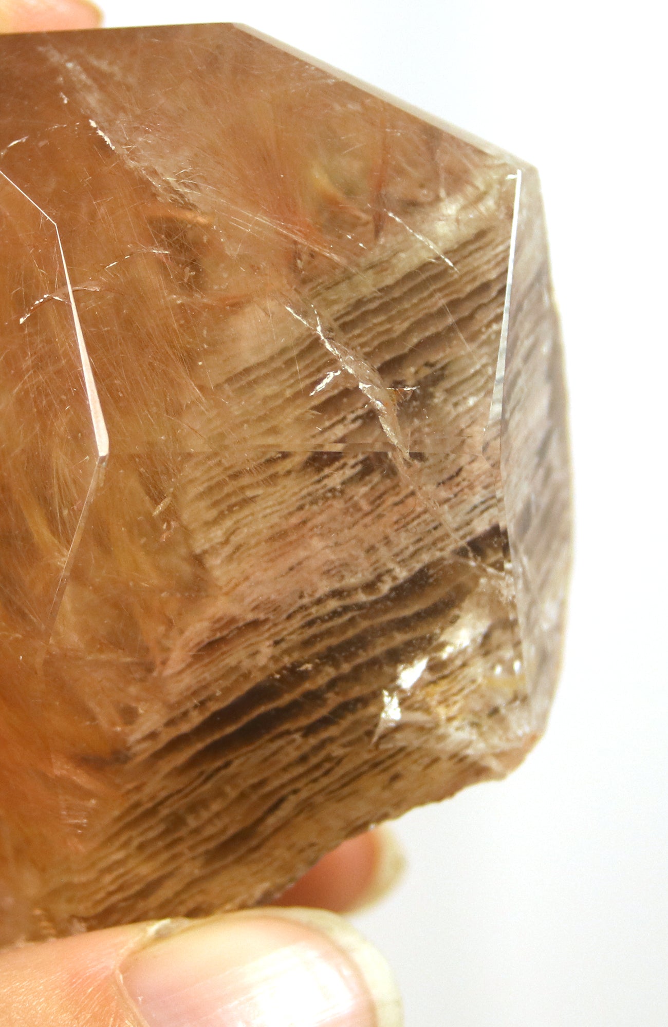Lodalite Quartz Freeform Generator